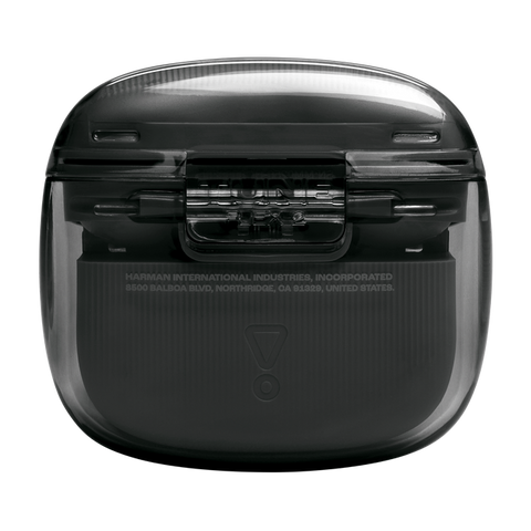 JBL TUNE FLEX 2 GHOST
