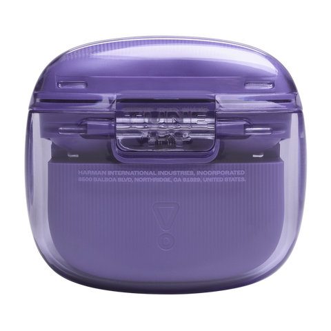 JBL TUNE FLEX 2 GHOST