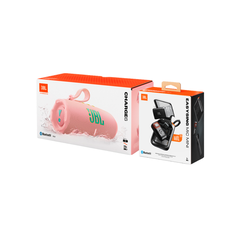 Sing & Party : JBL Portable Karaoke Set