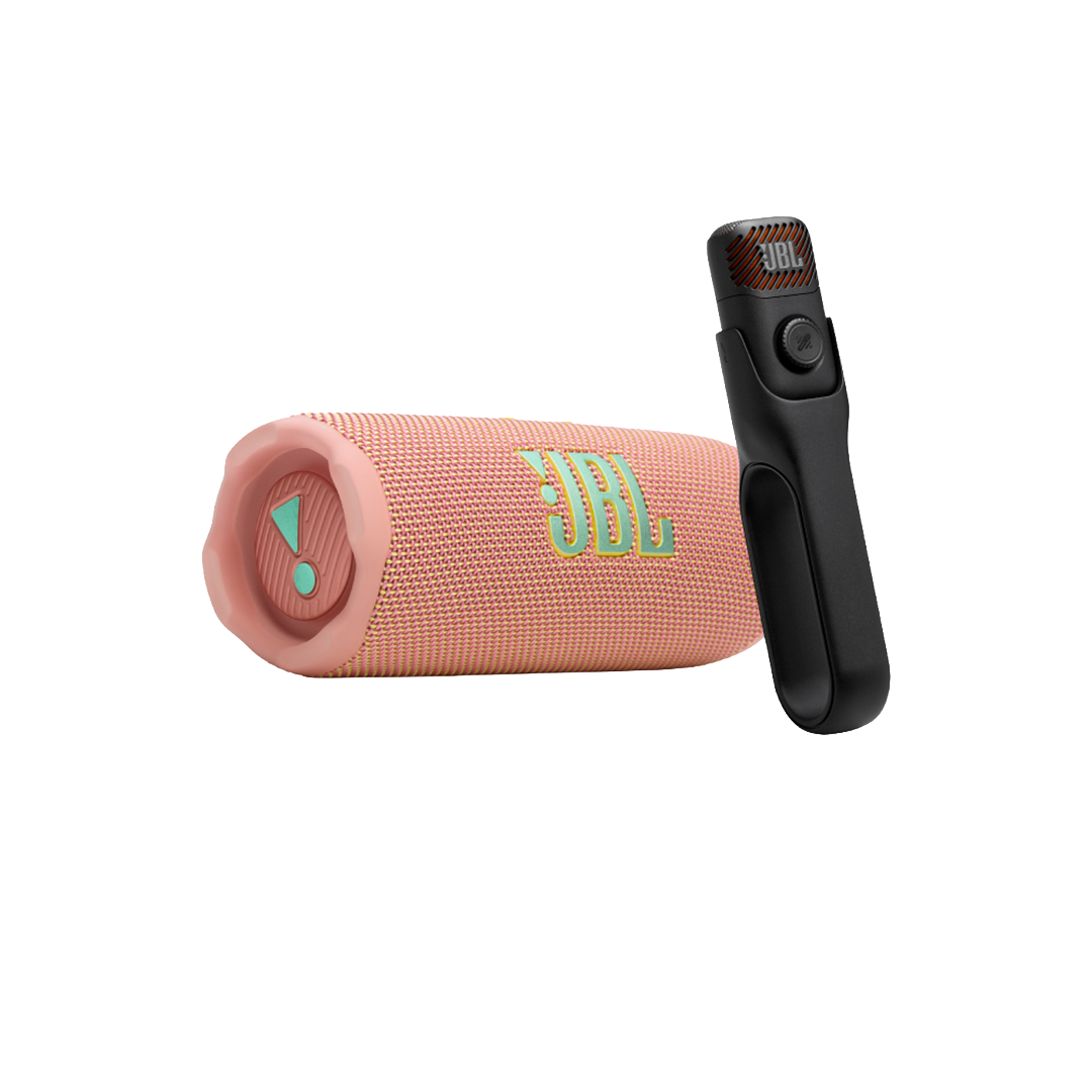 Sing & Go : JBL Portable Karaoke Set