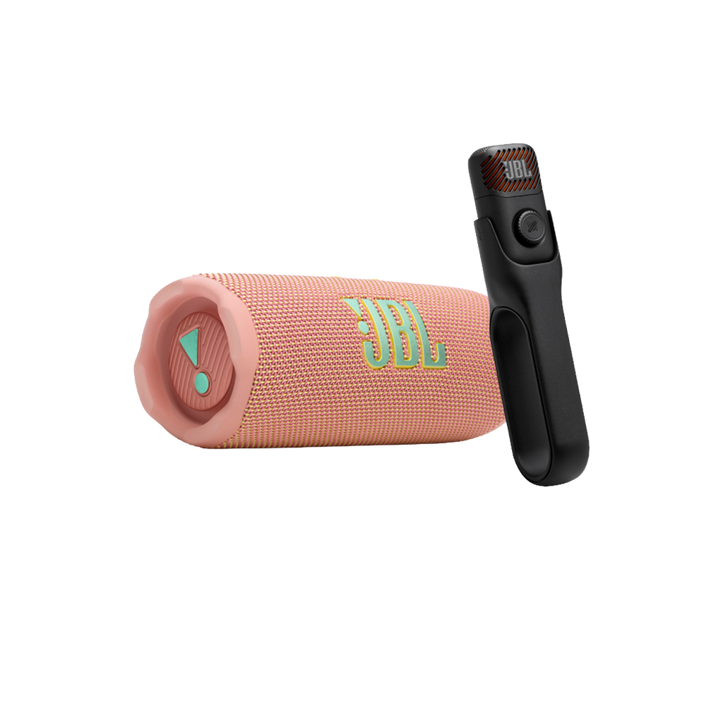 Sing & Go : JBL Portable Karaoke Set