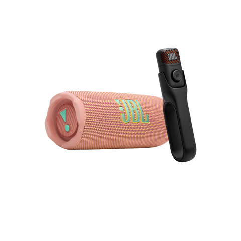 Sing & Go : JBL Portable Karaoke Set