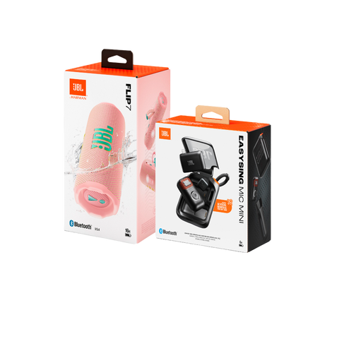 Sing & Go : JBL Portable Karaoke Set