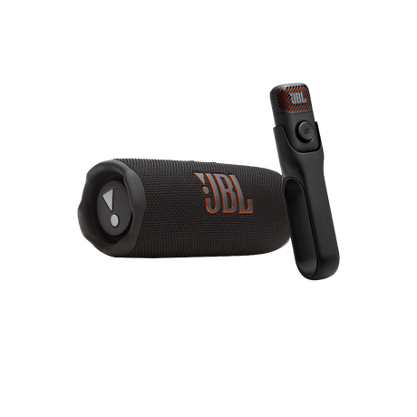 Sing & Go : JBL Portable Karaoke Set